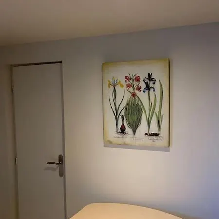 شقة Cambrai:exceptionnel كامبراي